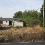 "Cozy" (abandoned & overgrown) wild dog hangout. No dogs there, they were all following me!