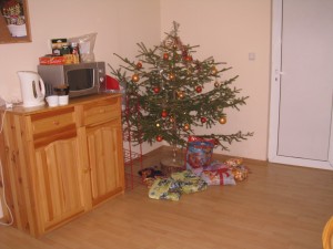 Bulgaria tree