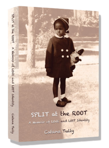 split-at-the-root-paperback-cover1
